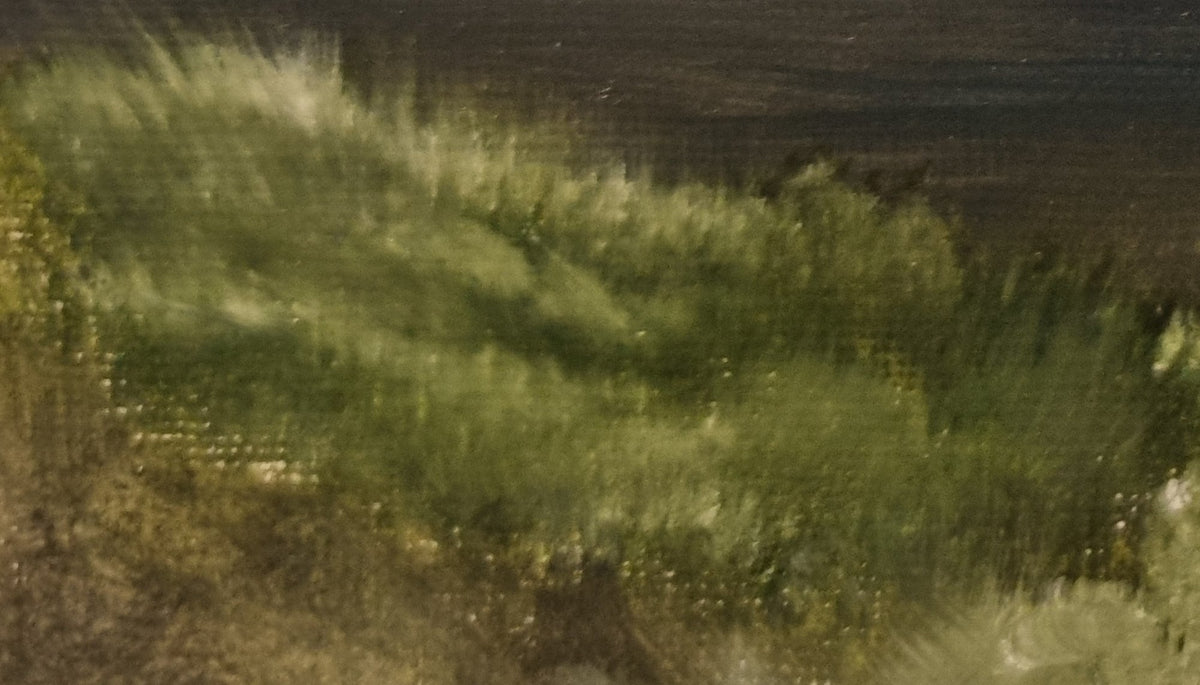 'Quietly Sheltered'